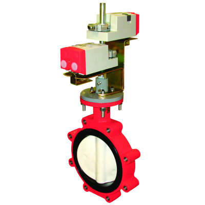 2-way 2.5 in flanged butterfly valve